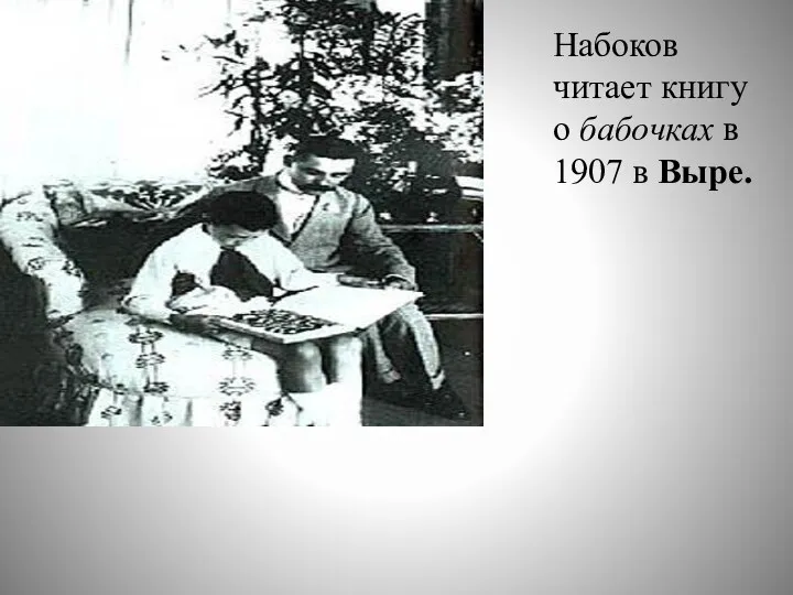Набоков читает книгу о бабочках в 1907 в Выре.