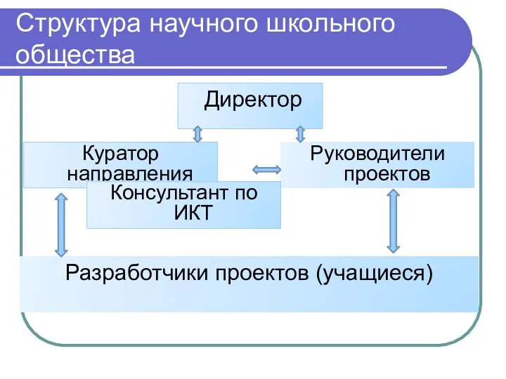 Директор Структура научного школьного общества Куратор направления Руководители проектов Разработчики проектов (учащиеся) Консультант по ИКТ