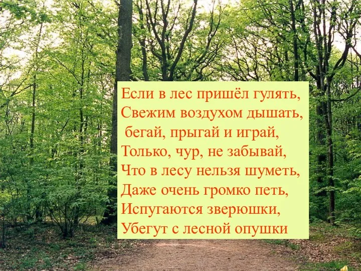 Если в лес пришёл гулять, Свежим воздухом дышать, бегай, прыгай