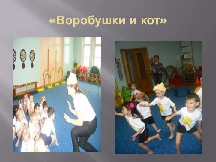 «Воробушки и кот»