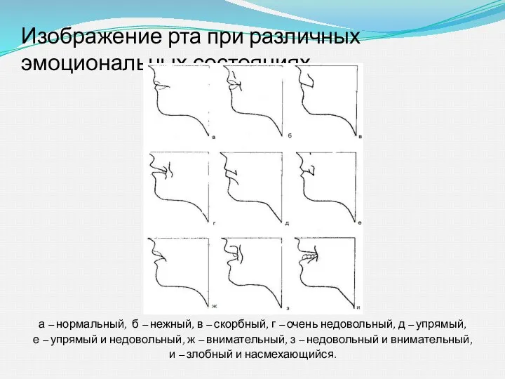 Изображение рта при различных эмоциональных состояниях а – нормальный, б