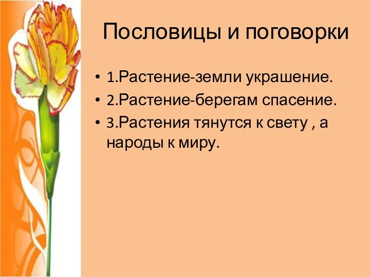 Пословицы и поговорки 1.Растение-земли украшение. 2.Растение-берегам спасение. 3.Растения тянутся к свету , а народы к миру.