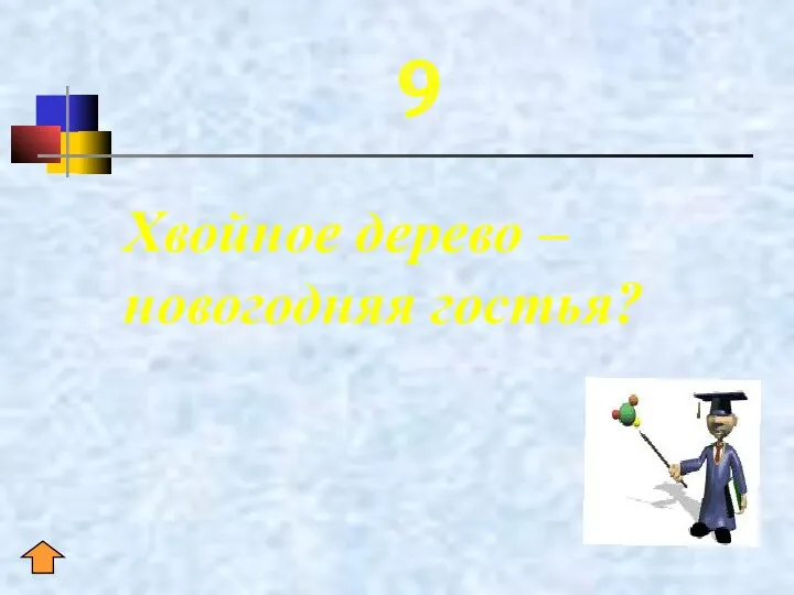 9 Хвойное дерево – новогодняя гостья?