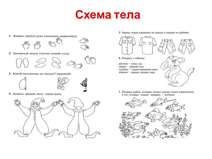 Схема тела