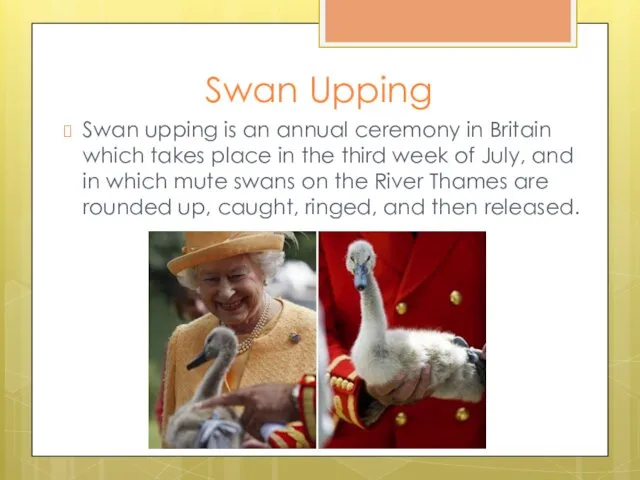 Swan Upping Swan upping is an annual ceremony in Britain
