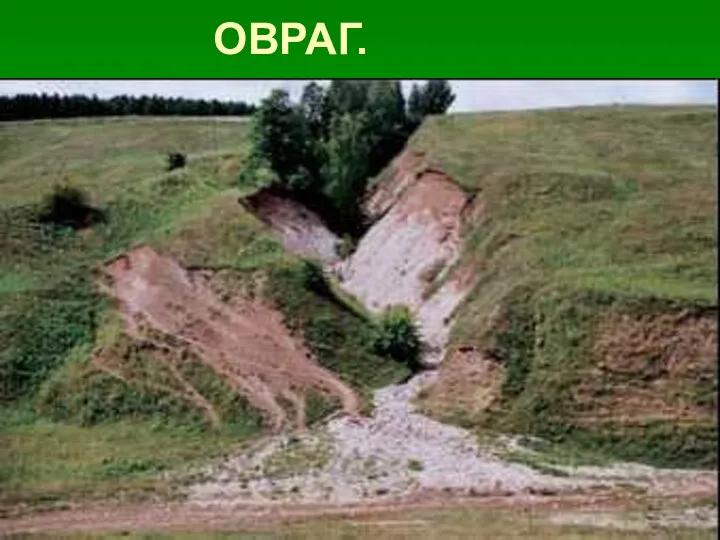 ОВРАГ.