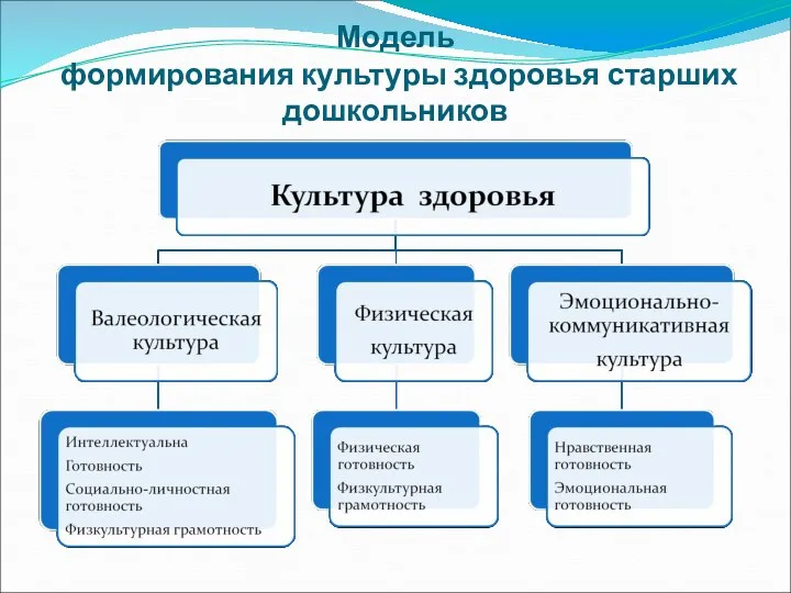 Модель формирования культуры здоровья старших дошкольников