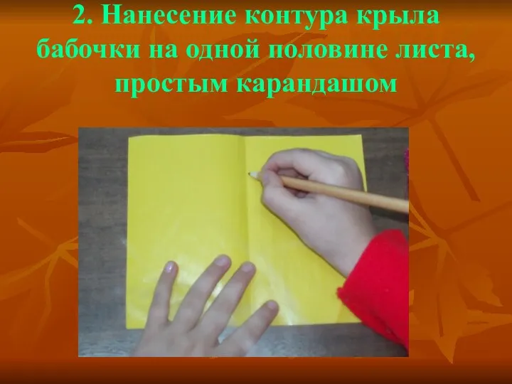 2. Нанесение контура крыла бабочки на одной половине листа, простым карандашом