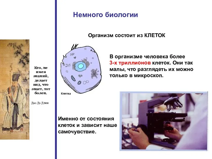 Немного биологии Кто, не имея знаний, делает вид, что знает,