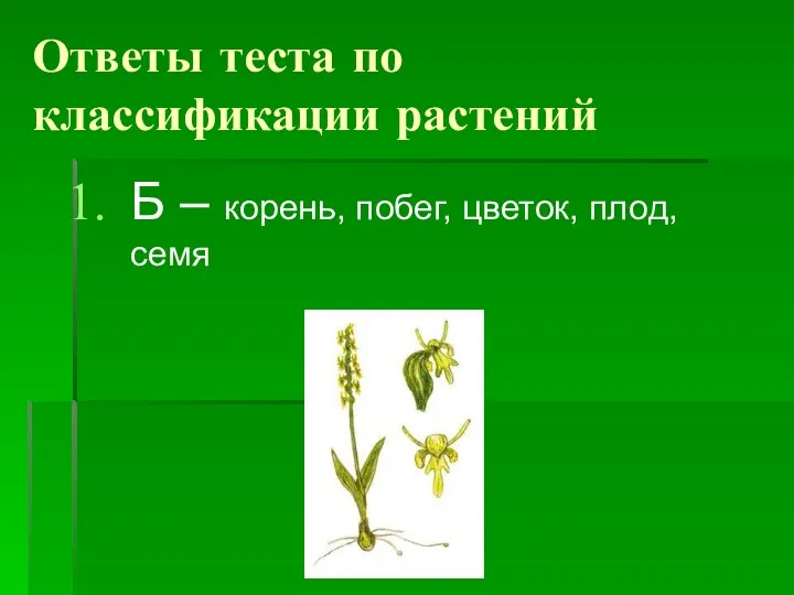 Ответы теста по классификации растений Б – корень, побег, цветок, плод, семя
