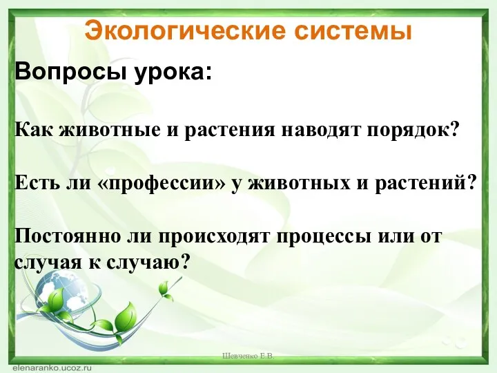 Экологические системы Вопросы урока: Как животные и растения наводят порядок?