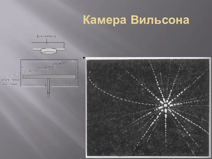 Камера Вильсона