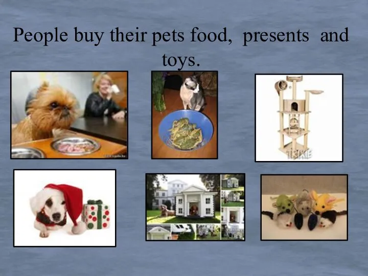 People buy their pets food, presents and toys.