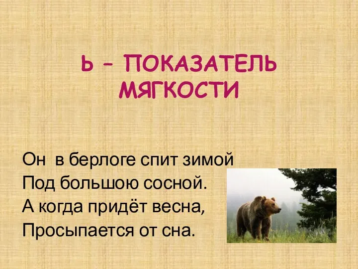 Ь – ПОКАЗАТЕЛЬ МЯГКОСТИ Он в берлоге спит зимой Под