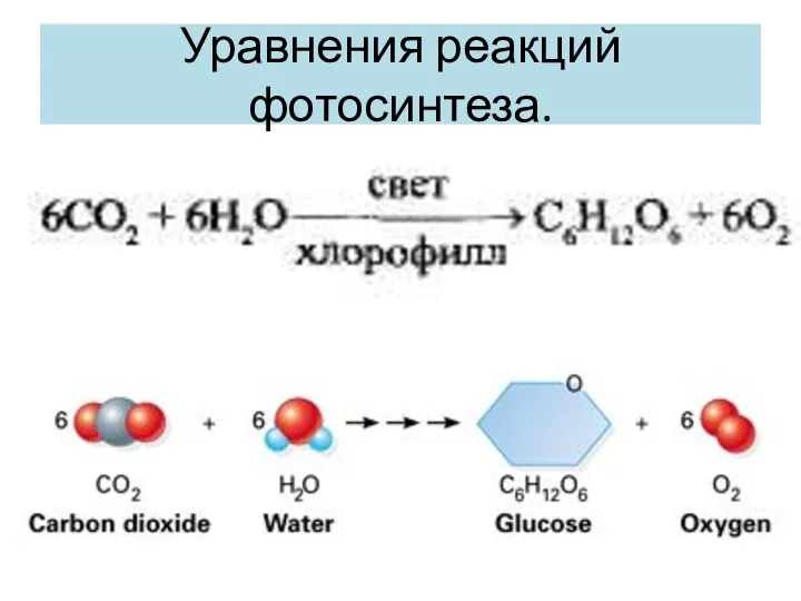 Уравнения реакций фотосинтеза.