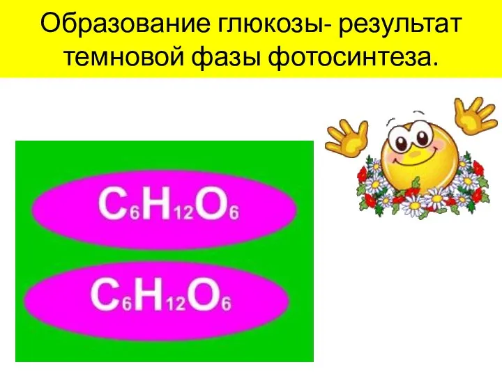 Образование глюкозы- результат темновой фазы фотосинтеза.