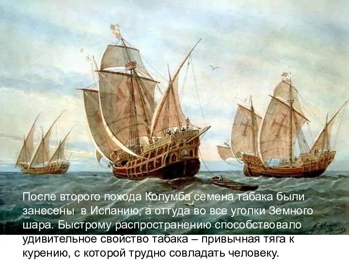 После второго похода Колумба семена табака были занесены в Испанию, а оттуда во