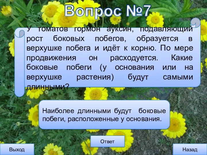 Выход Назад Ответ Наиболее длинными будут боковые побеги, расположенные у