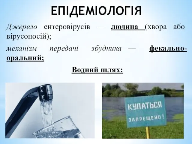 ЕПІДЕМІОЛОГІЯ Джерело ентеровірусів — людина (хвора або вірусоносій); механізм передачі збудника — фекально-оральний; Водний шлях: