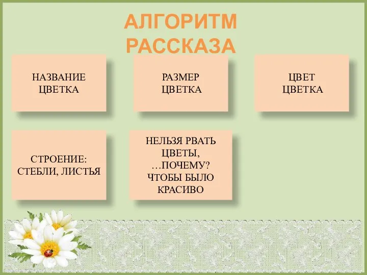 АЛГОРИТМ РАССКАЗА НАЗВАНИЕ ЦВЕТКА РАЗМЕР ЦВЕТКА ЦВЕТ ЦВЕТКА СТРОЕНИЕ: СТЕБЛИ,