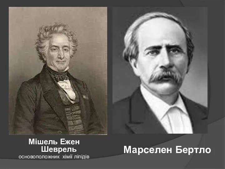 Мішель Ежен Шеврель основоположник хімії ліпідів Марселен Бертло