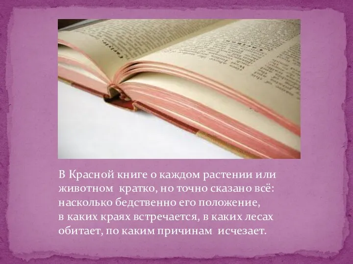 В Красной книге о каждом растении или животном кратко, но