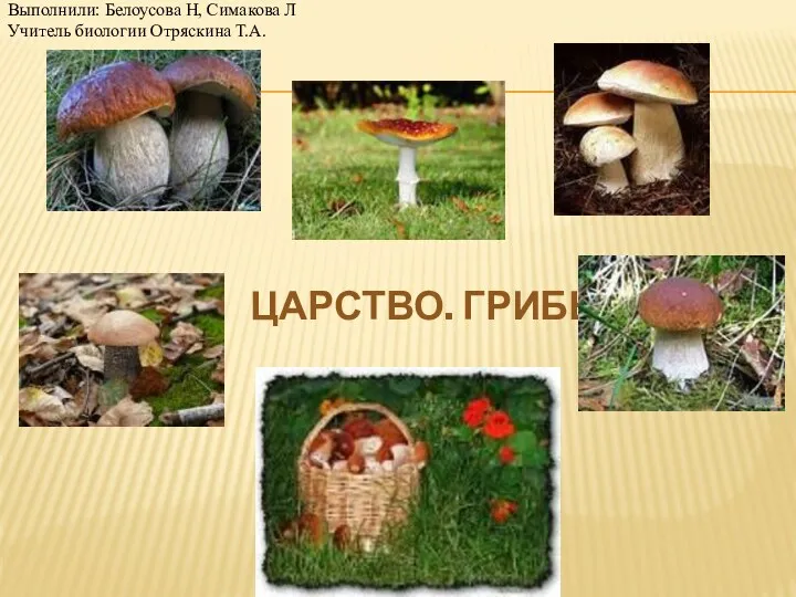 царство грибы