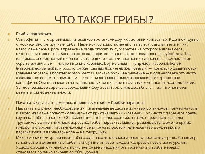 Что такое грибы? Грибы-сапрофиты Сапрофиты — это организмы, питающиеся остатками