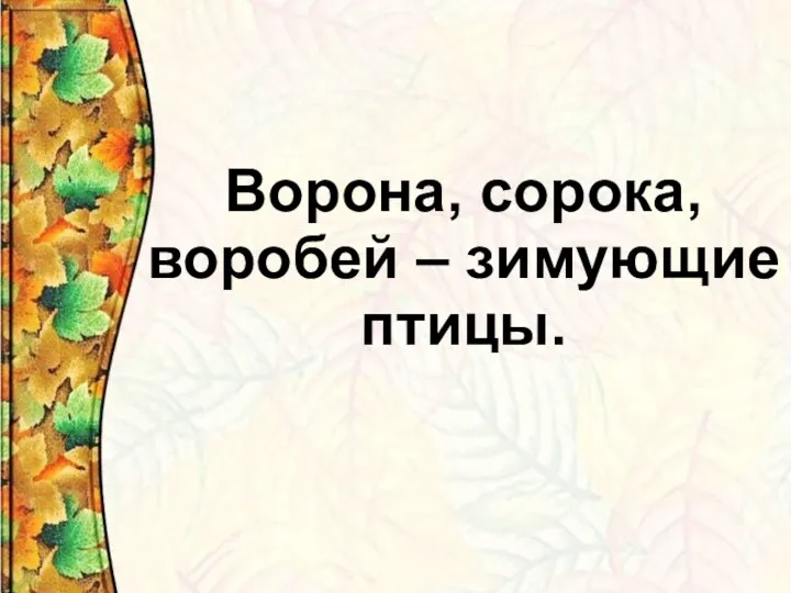 Ворона, сорока, воробей – зимующие птицы.