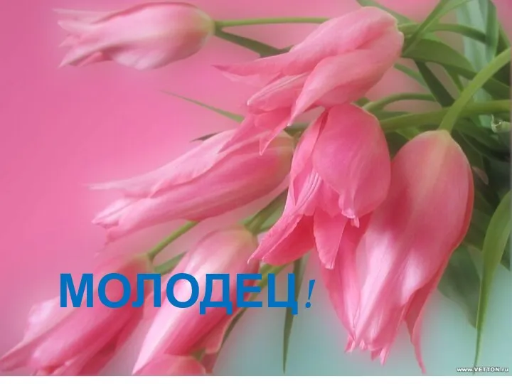 МОЛОДЕЦ!