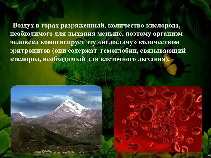 Воздух в горах разряженный, количество кислорода, необходимого для дыхания меньше,