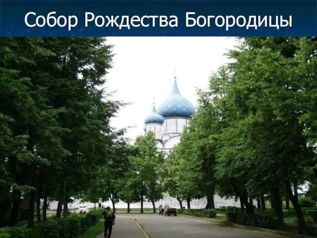 Собор Рождества Богородицы