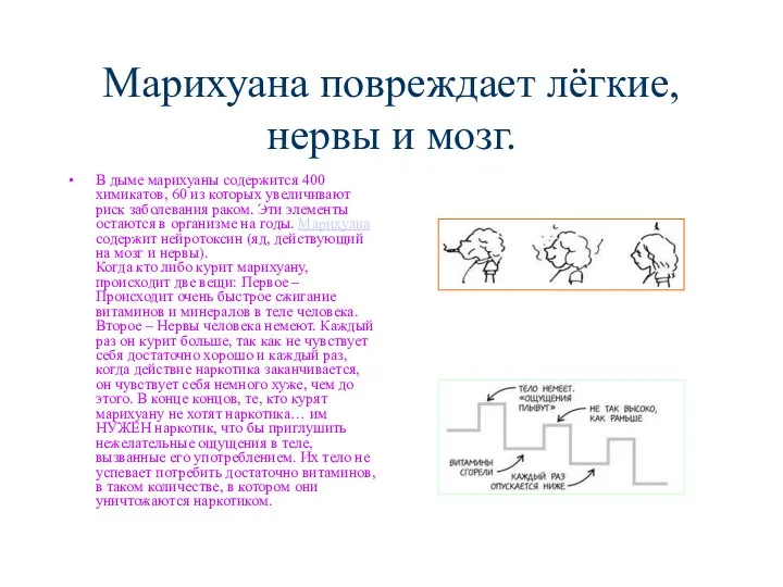 Марихуана повреждает лёгкие, нервы и мозг. В дыме марихуаны содержится 400 химикатов, 60