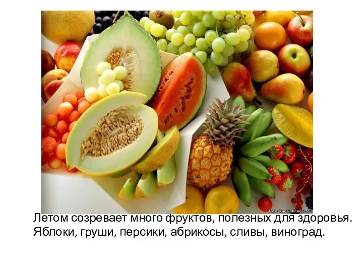 Летом созревает много фруктов, полезных для здоровья. Яблоки, груши, персики, абрикосы, сливы, виноград.