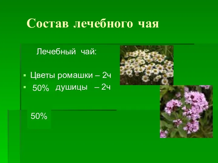 Состав лечебного чая Лечебный чай: Цветы ромашки – 2ч Трава душицы – 2ч 50% 50%