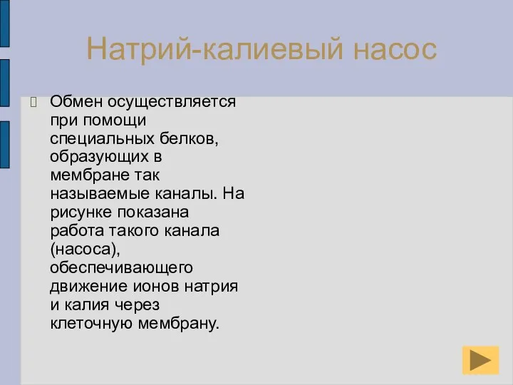 Натрий-калиевый насос Обмен осуществляется при помощи специальных белков, образующих в