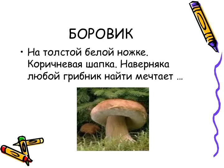 БОРОВИК На толстой белой ножке. Коричневая шапка. Наверняка любой грибник найти мечтает …