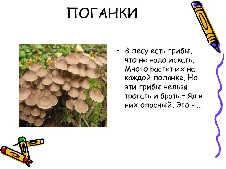 ПОГАНКИ В лесу есть грибы, что не надо искать, Много
