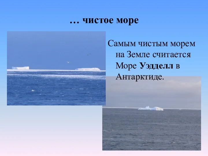 … чистое море Самым чистым морем на Земле считается Море Уэдделл в Антарктиде.