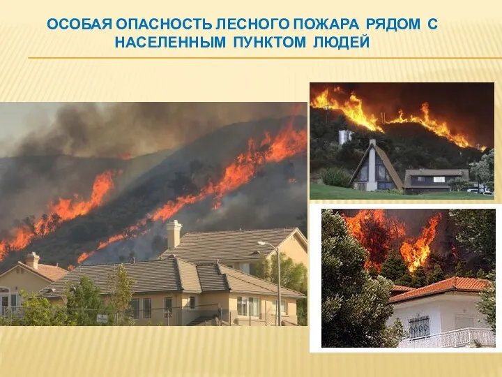 Особая опасность лесного пожара рядом с населенным пунктом людей .