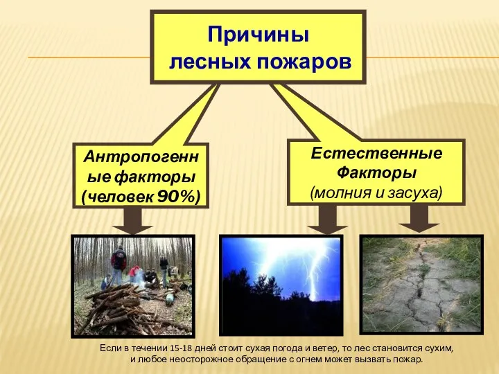 Естественные Факторы (молния и засуха) Антропогенные факторы (человек 90%) Причины лесных пожаров Если
