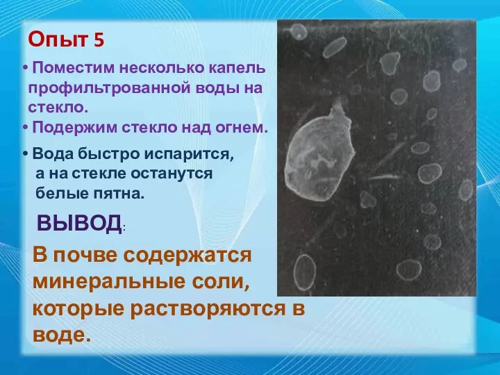 Опыт 5 Поместим несколько капель профильтрованной воды на стекло. Подержим