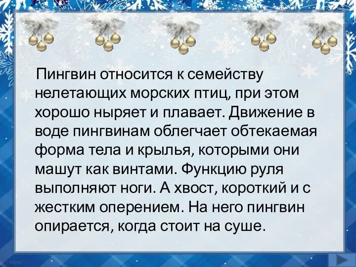 Пингвин относится к семейству нелетающих морских птиц, при этом хорошо ныряет и плавает.