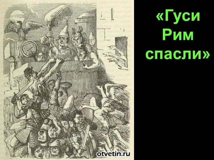 «Гуси Рим спасли»