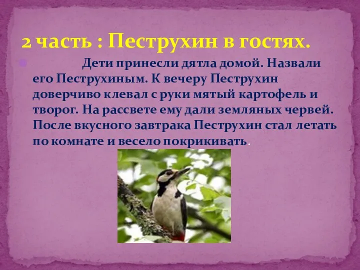 2 часть : Пеструхин в гостях. Дети принесли дятла домой.