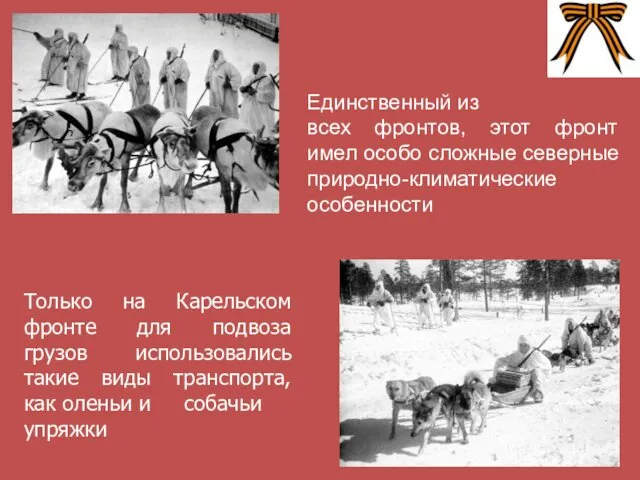 Единственный из всех фронтов, этот фронт имел особо сложные северные природно-климатические особенности Только