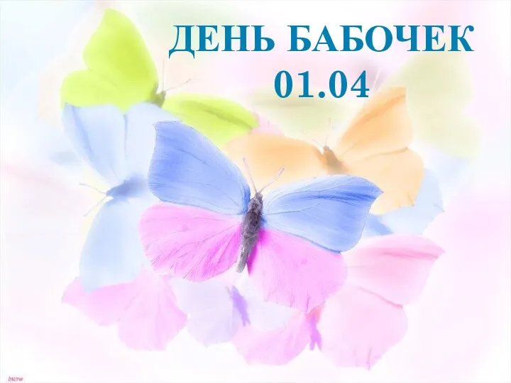 День Бабочек 01.04