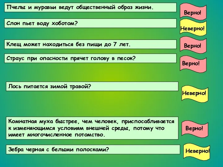 Пчелы и муравьи ведут общественный образ жизни. Верно! Слон пьет