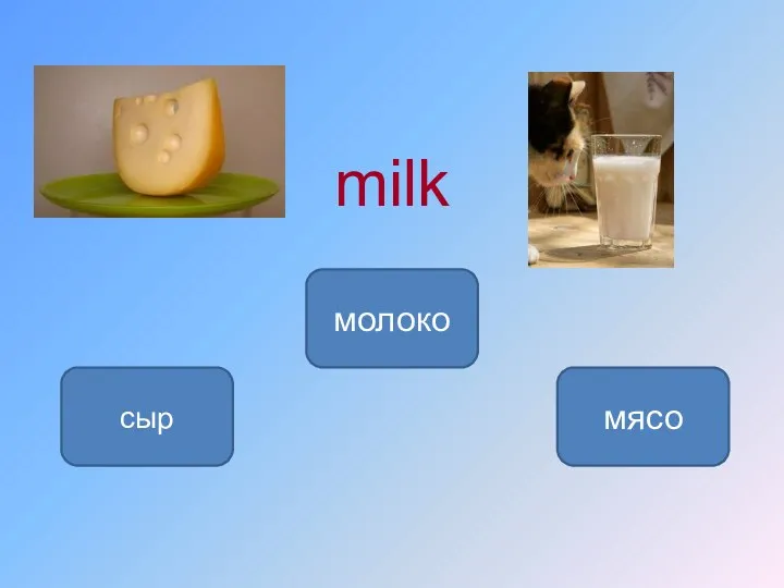 milk молоко сыр мясо