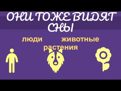 ОНИ ТОЖЕ ВИДЯТ СНЫ люди животные растения